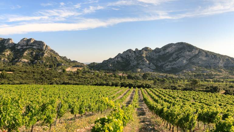 Domaine « La Vallongue »