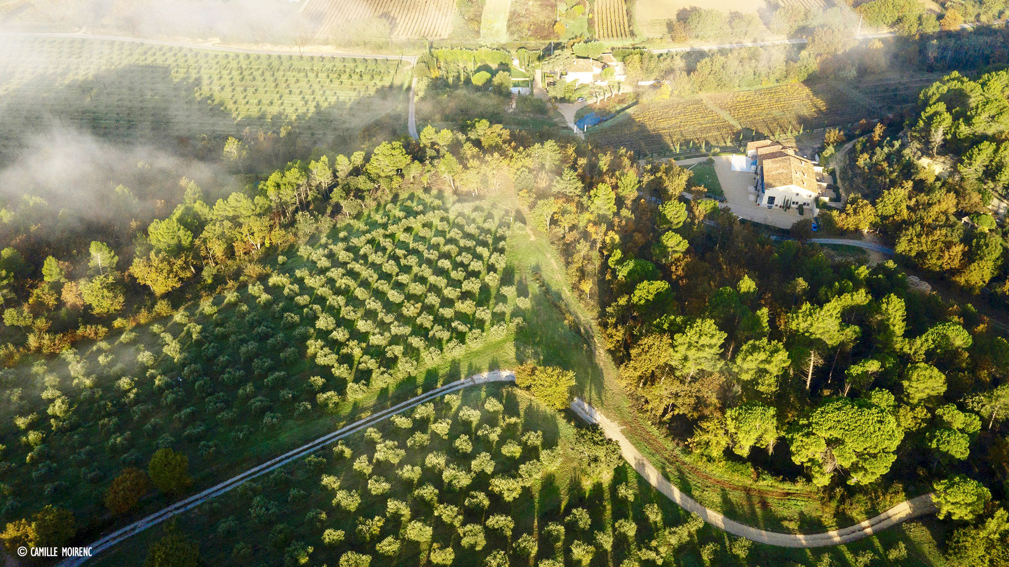 Moulin à Huile D olive Bio Domaine Bastide Du Laval Bastide du Laval - AOP Huile d'Olive de Provence