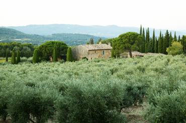 Domaine de Gerbaud