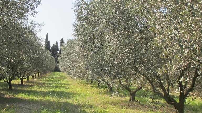Lycée Agricole des Alpilles