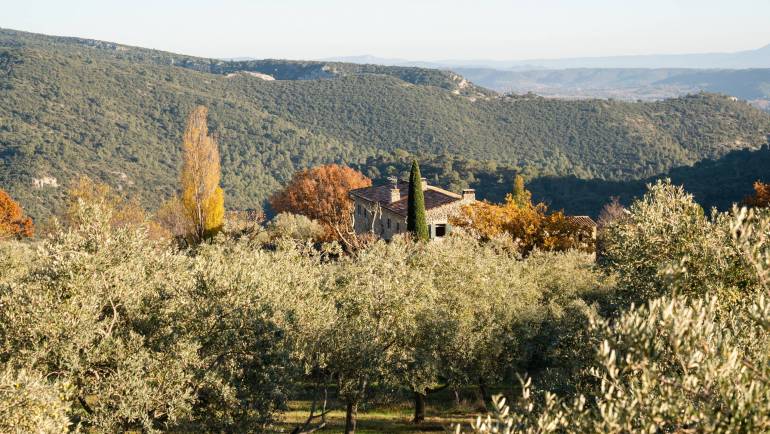 La Récolte des Amis